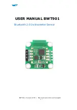 WiT BWT901 User Manual предпросмотр