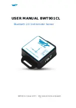 Предварительный просмотр 1 страницы WiT BWT901CL User Manual