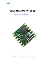 WiT WT901B User Manual предпросмотр