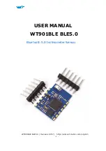 Предварительный просмотр 1 страницы WiT WT901BLE User Manual