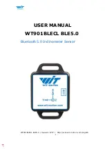 WiT WT901BLECL User Manual preview