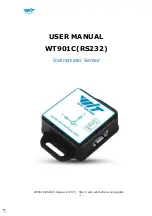 Предварительный просмотр 1 страницы WiT WT901C User Manual