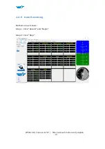 Preview for 23 page of WiT WT901SD User Manual