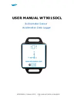 WiT WT901SDCL User Manual предпросмотр