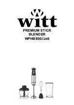 Witt 61650003 Manual preview