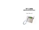 Witura WT-2000 User Manual preview