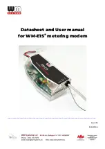 WM Systems WM-E1S Datasheet And User Manual предпросмотр