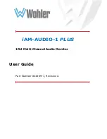 Wohler 8114-0400 User Manual preview