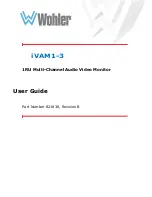 Wohler 8121-0100 User Manual preview