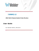 Wohler 8121-0200 User Manual preview