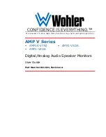 Wohler AMP1-V2DA User Manual preview