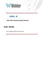 Wohler iAM1-8 User Manual preview