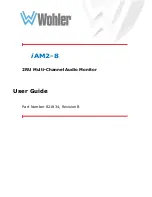 Wohler iAM2-8 User Manual preview