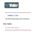 Wohler iVAM1-12G User Manual preview