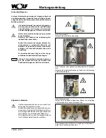 Предварительный просмотр 3 страницы Wolf CGB-11 Service Manual