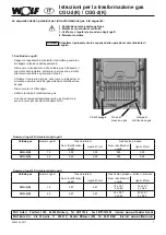 Preview for 7 page of Wolf CGG-2 Instructions Manual