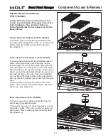 Preview for 43 page of Wolf DF304 Technical & Service Manual