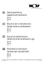 Wolf TGB-40 Maintenance Instructions Manual предпросмотр