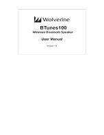 Preview for 1 page of Wolverine BTunes100 User Manual