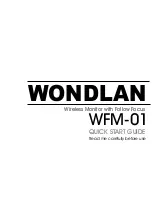 Предварительный просмотр 1 страницы Wondlan WFM-01 Quick Start Manual