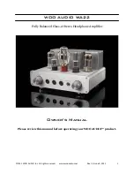 Woo Audio WA22 Owner'S Manual preview