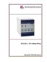 Woodward BU1-DC2 Manual preview