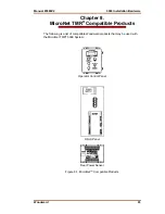 Предварительный просмотр 101 страницы Woodward MicroNet TMR 5009 Installation/Hardware Manual