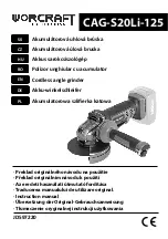 Worcraft PROFESSIONAL CAG-S20Li-125 Instruction Manual preview