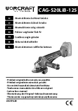 Worcraft PROFESSIONAL CAG-S20LiB-125 Instruction Manual preview