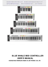 Worlde Digital Piano BLUE WHALE User Manual preview