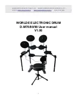 Worlde Digital Piano D-M70 User Manual preview