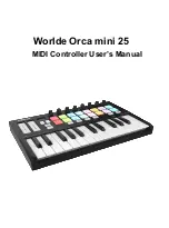 Worlde Orca mini 25 User Manual preview