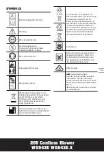 Предварительный просмотр 11 страницы Worx Nitro LEAFJET WG543E Safety And Operating Manual Original Instructions