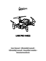 Wowitoys LARK PRO H4822 User Manual preview