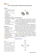 WT sensor PC13 Manual предпросмотр