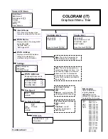 Preview for 15 page of Wybron Coloram IT User Manual