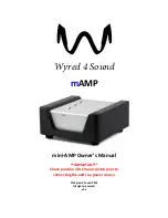 Wyred 4 Sound mAMP Owner'S Manual предпросмотр