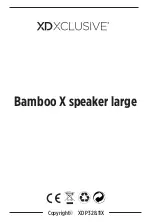 XD XCLUSIVE Bamboo X speaker large Manual preview