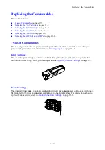 Preview for 195 page of Xerox DocuPrint C1190 FS User Manual