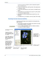Preview for 29 page of Xerox X64005D-WU - 6400 - Flatbed Scanner User Manual
