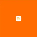 Xiaomi Box S Important Product Information preview