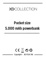 XINDAO XD P324.74 Series Manual preview