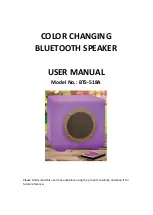 XinHuaMei Electronics BTS-518A User Manual предпросмотр