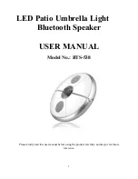 Предварительный просмотр 1 страницы XinHuaMei Electronics BTS-538 User Manual