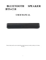 XinHuaMei Electronics BTS-C18 User Manual предпросмотр