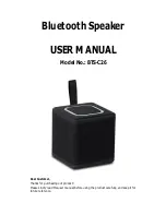 XinHuaMei BTS-C26 User Manual preview