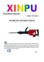 Xinpu XP-65RA-3 Handling Instructions Manual preview