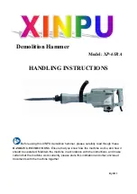 Xinpu XP-65RA Handling Instructions Manual preview