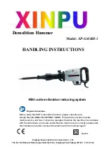 Xinpu XP-G65BH-1 Handling Instructions Manual preview