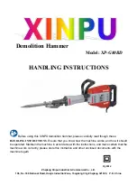 Предварительный просмотр 1 страницы Xinpu XP-G80BD Handling Instructions Manual